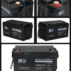 精卫蓄电池6-GFM-65-YT/12V65AH