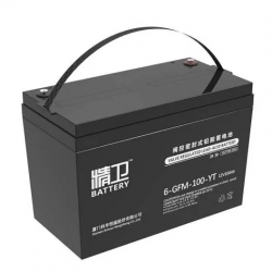 精卫蓄电池6-GFM-100-YT/12V100AH